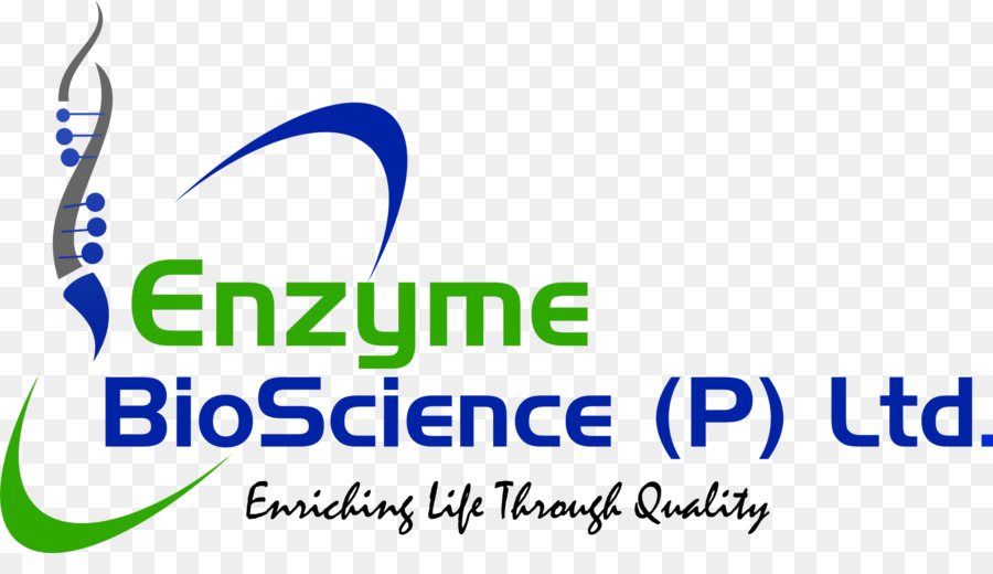 آنزیم آزمایشگاهی | فروش آنزیم آزمایشگاهی | خرید آنزیم آزمایشگاهی | آنزیم | enzyme